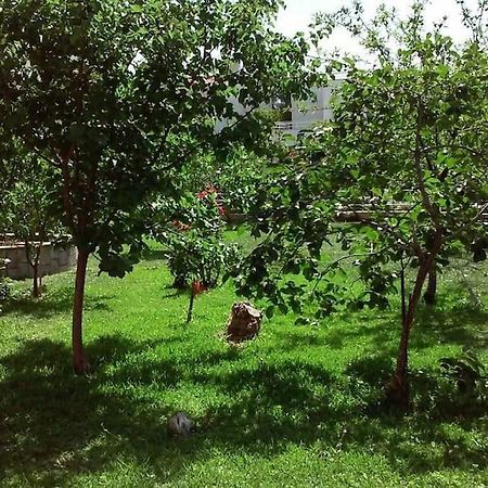 Sunny garden studio Athen Eksteriør bilde