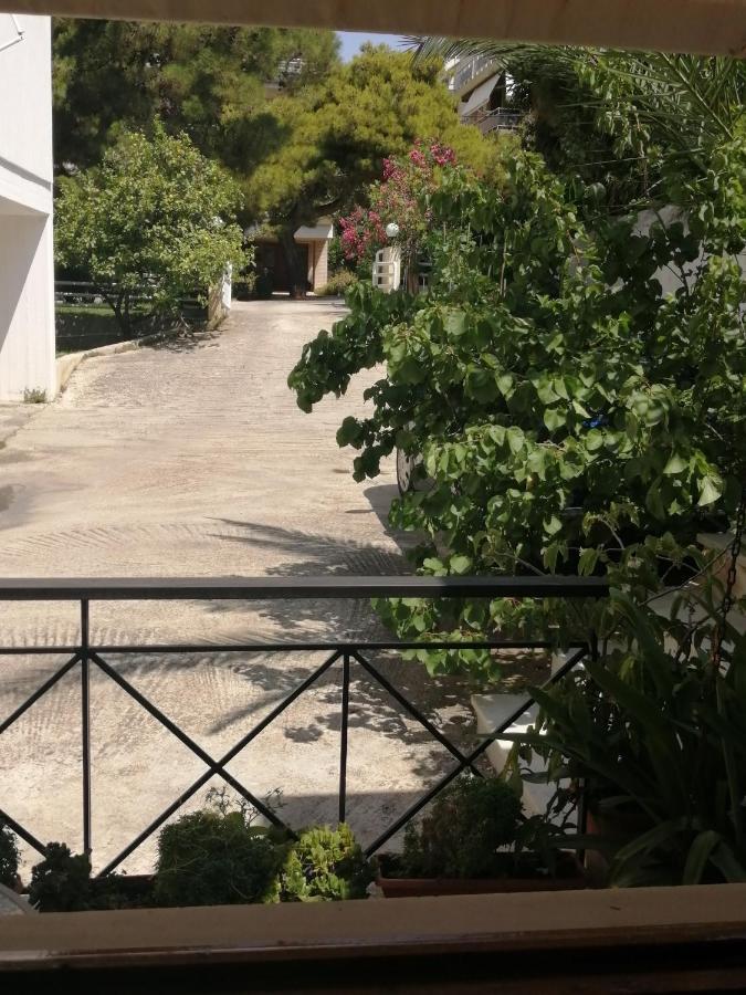 Sunny garden studio Athen Eksteriør bilde