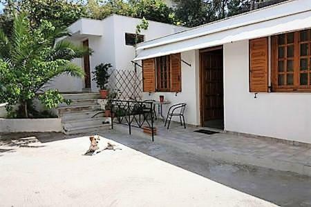 Sunny garden studio Athen Eksteriør bilde